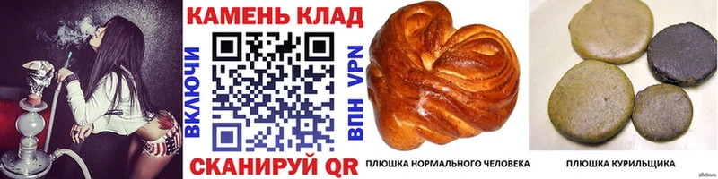 ГАШ гарик  Белая Калитва 