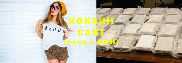 стаф Богородицк