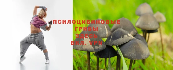 spice Богородск
