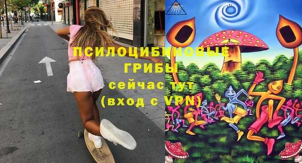spice Богородск