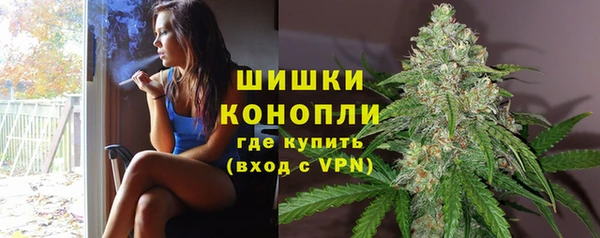 стаф Богородицк