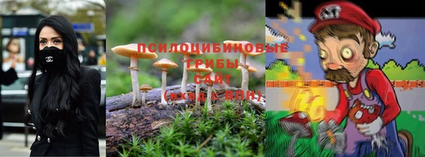 кокаин Белокуриха